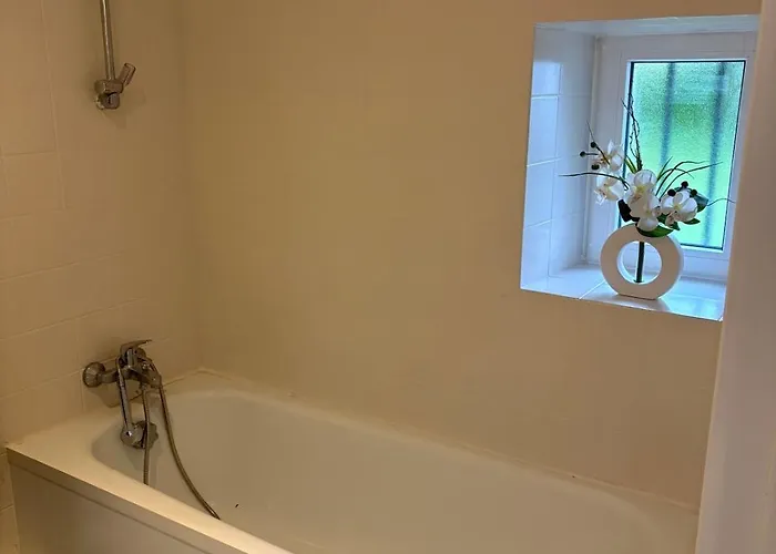 Beautiful, Fully Renovated 度假居